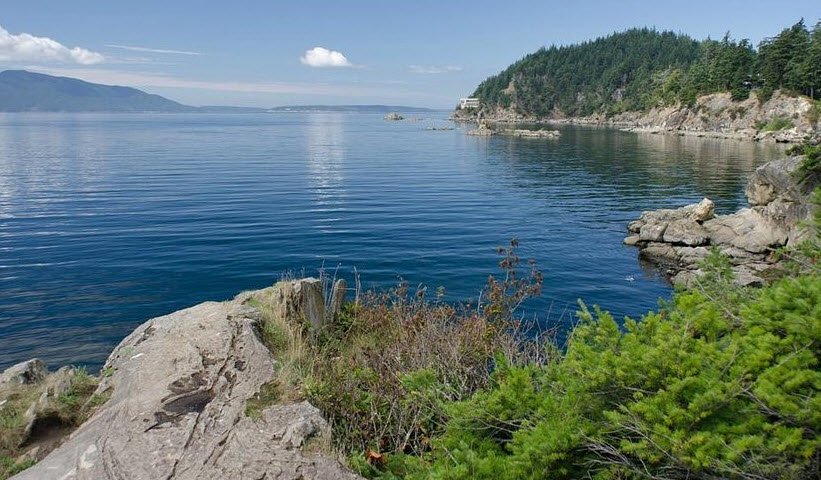 Larrabee State Park, Washington, USA